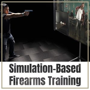Simulation Based Training
