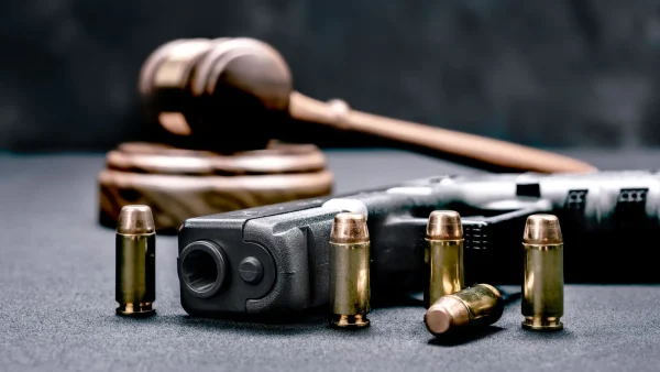 E-Learning:  What You Need To Know As A Firearm Owner