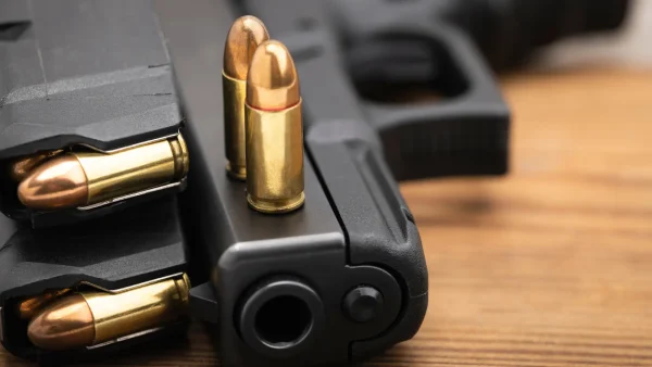 E-Learning:  Why Take A Gun Safety Class